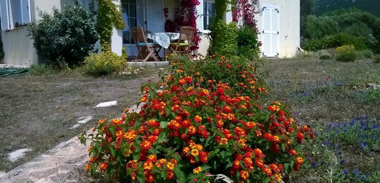 Vila Kalliste Sartène Exteriér fotografie